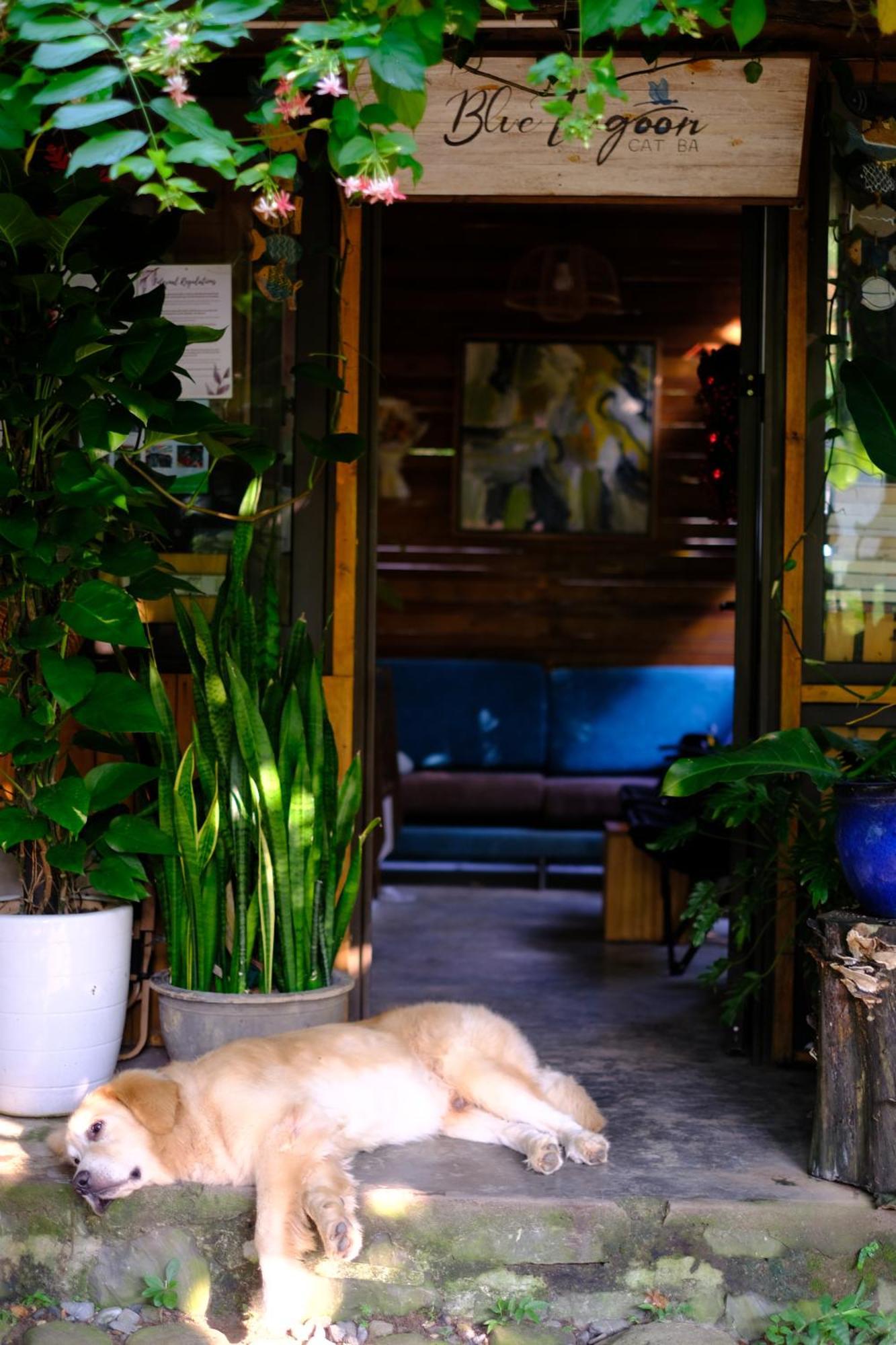Blue Lagoon Cat Ba Dong Khe Sau Luaran gambar